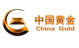 炒黃金投資管理的三大核心方法 科學(xué)規(guī)劃、風(fēng)險(xiǎn)控制與靈活策略